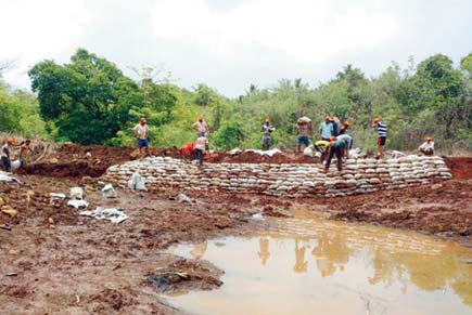 Maharashtra village does what state couldn't, revives dry river in summer