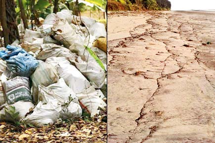 Where does the garbage collected from Kihim beach go?