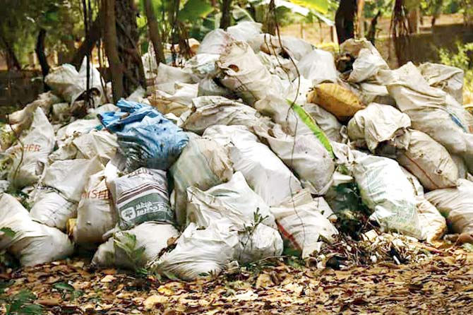 The garbage collected during Kihim beach