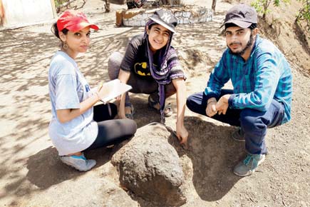 Remains of Buddhist stupa reveal more about Vihar