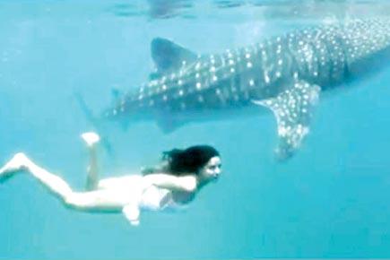 Katrina Kaif is having a 'whale' of a time, watch video