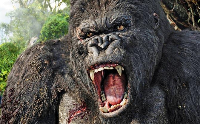 King Kong
