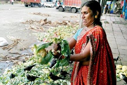 As farmers' strike mellows, veggie cleaners at APMC get their crunch back