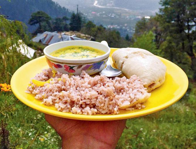 Red rice, Himachali kadi and siddu, a traditional steamed snack, at Hamta Village near Manali, Himachal Pradesh
