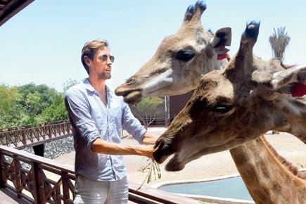 Tall England footballer Peter Crouch calls giraffes his family