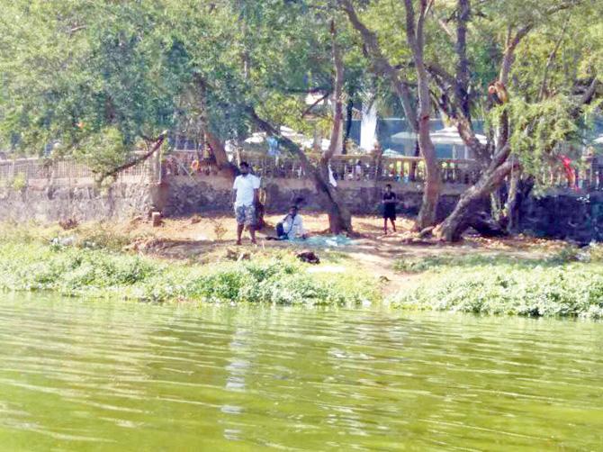 Gangs of poachers are illegally fishing in Powai Lake 
