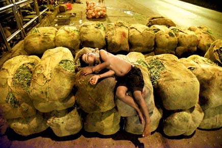 Photo: Child sleeps on vegetable sacks at Dadar market