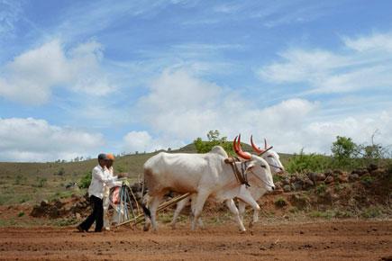 Rajasthan farmers launch indefinite stir