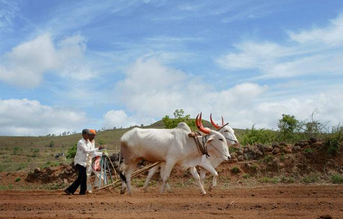 Farming land