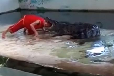 Disturbing video: Crocodile bites man's head as he voluntarily puts it in