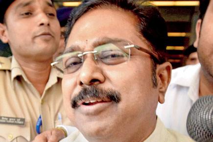 TTV Dhinakaran gets bail in EC bribery case