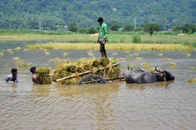 Floods in Assam affect over one lakh people