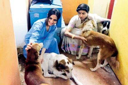 Hunar Hali has turned 'Thapki Pyaar Ki' sets into a mini animal farm