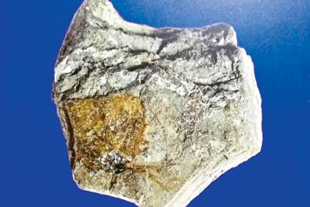 On Asteroid Day, check out a 65-million-year-old meteorite in Mumbai