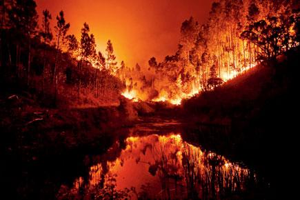 'Authentic inferno' in Portugal forest kills 57