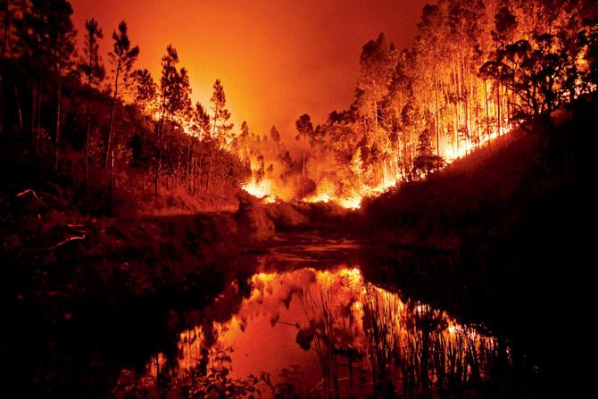 A wildfire is reflected in a stream at Penela, central Portugal. Pic/AFP