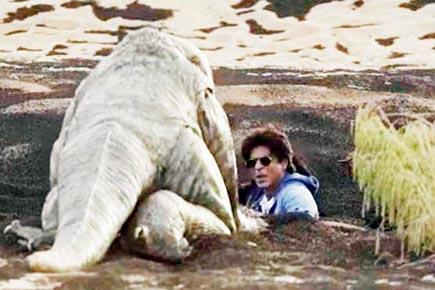 When a dragon 'attacked' Shah Rukh Khan