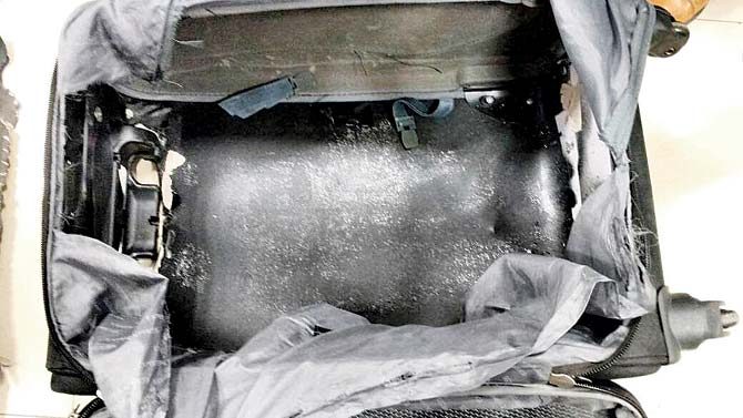 Suitcase in which the drugs were found