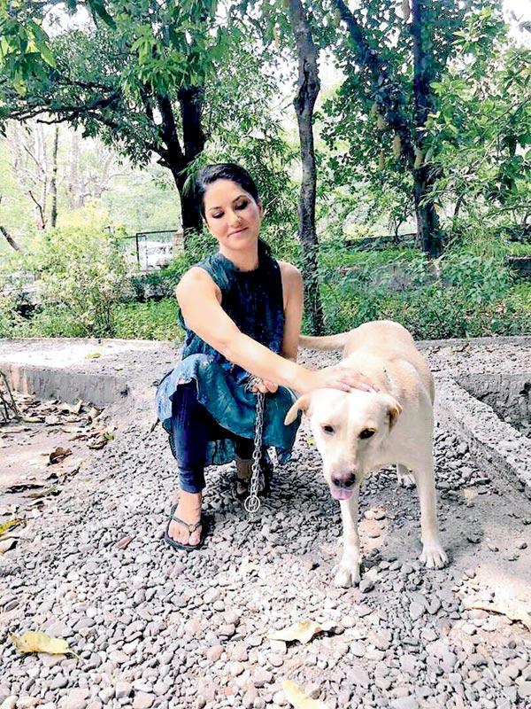Sunny Leone shares video of 'bath time' with her new love