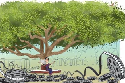 Meenakshi Shedde: Wisdom Tree 'katta'