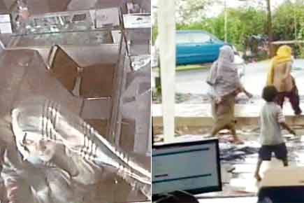 Beggars swipe booty from under Vasai jeweller's nose