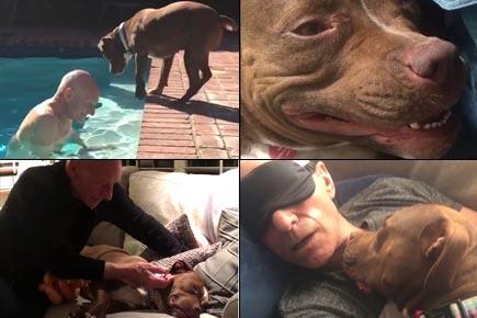 Patrick Stewart shares adorable videos with foster dog Ginger