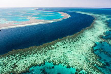 Great Barrier Reef will never be as pristine as it once was: Scientists