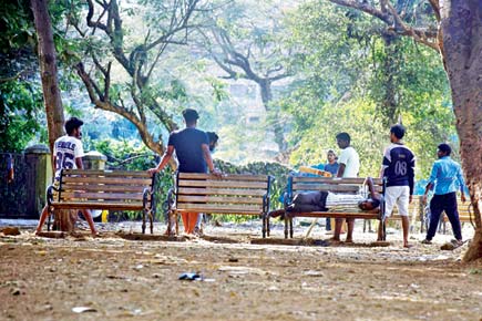 Mumbai: BMC initiates probe into Powai garden maintenance work