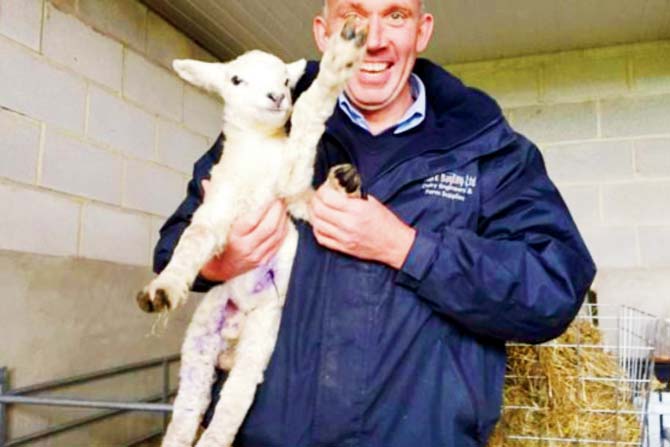 Lamb born with 5 legs named after Tom Hanks character in 
