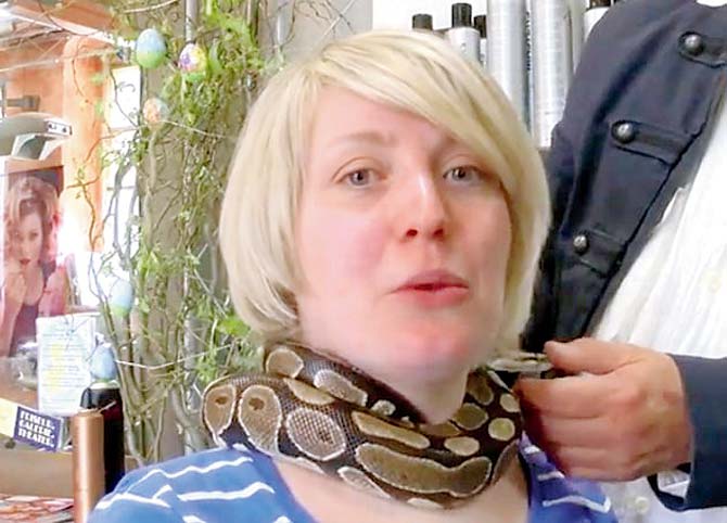 Monty, the python gives soothing massage