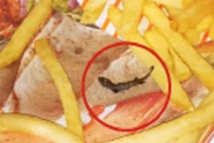 Pregnant woman finds deep fried lizard with french fries at McDonald's