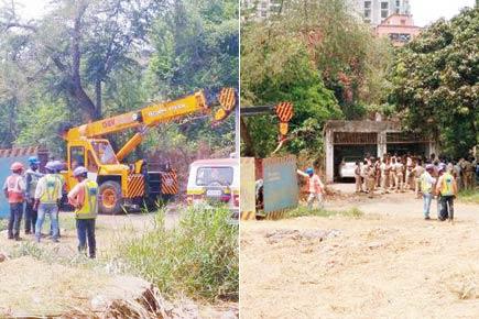 Mumbai: Metro begins soil testing in Aarey Colony against NGT order