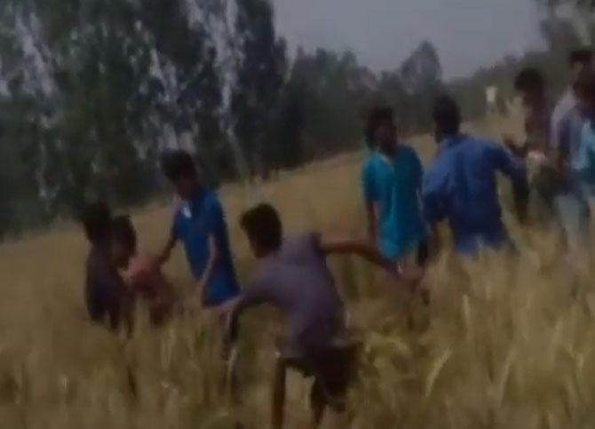 Watch video: Couple thrashed in a wheat field at Kashipur