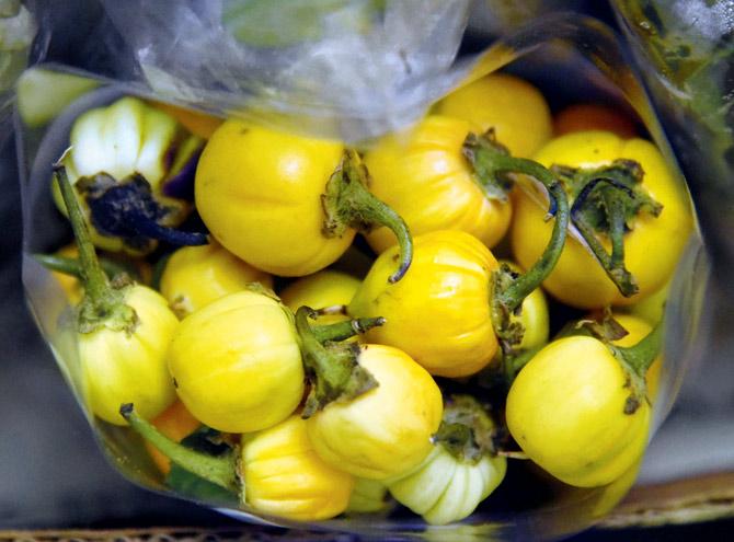 Aiyang thei, a brinjal variety