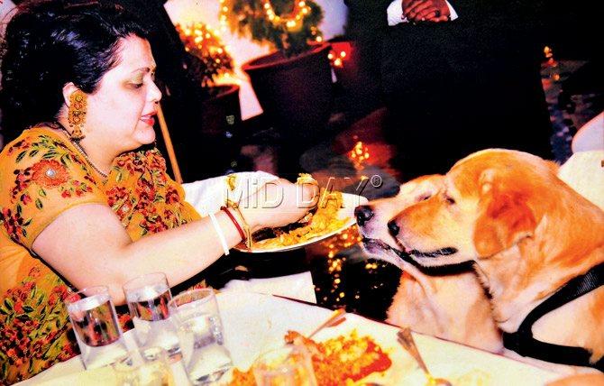 The pampered pooches were born with a silver spoon (and plate) in their mouth