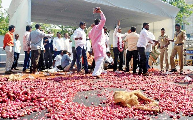 Swabhimani Shetkari Sanghatana members throw pulses and onions outside the Vidhan Bhavan during a protest for their various demands on Tuesday. Pic/PTI