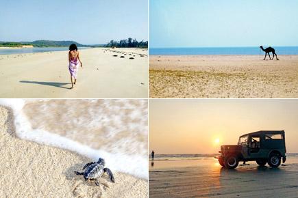 Travel: 5 off-the-grid beaches along India's western coast