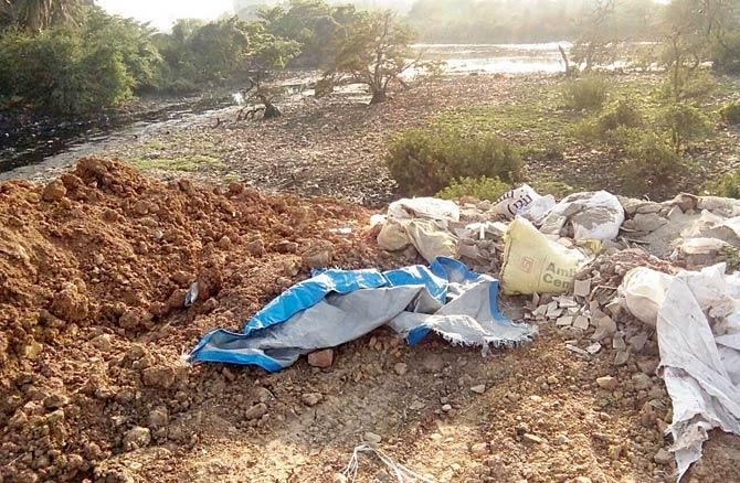 They fear the mangroves near the dumping spot may be damaged