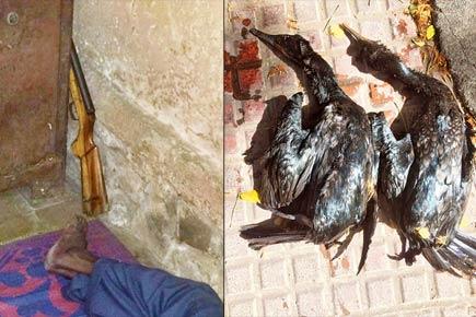 Poacher shoots wild birds at Thane lake in broad daylight