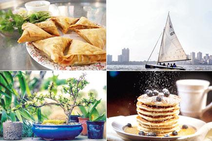 19 things to do in and around Mumbai from March 6 to March 13