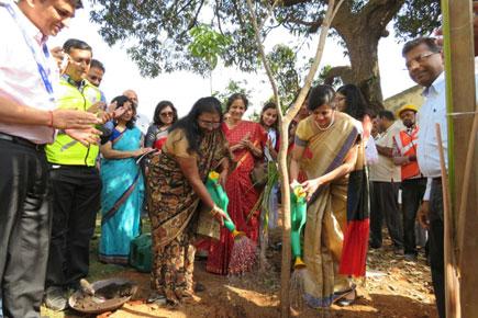 MMRC and AAI plant saplings to mark International Women's Day