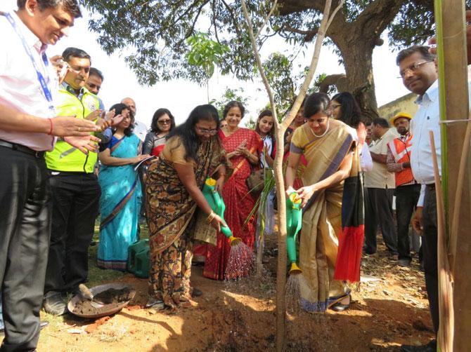 MMRC and AAI plant saplings to mark International Women