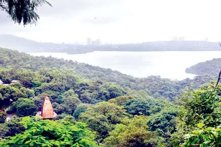 Good news! No water cuts this summer as Mumbai lakes have enough water