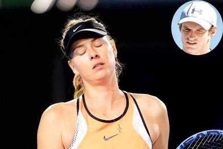 Maria Sharapova should earn back her place: Andy Murray