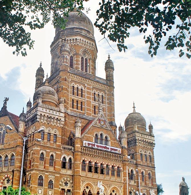 The BMC took cognisance of mid-day reports yesterday