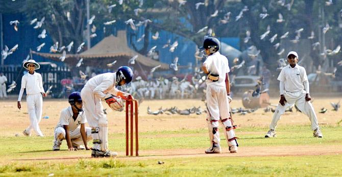 An inter-school Giles Shield cricket match in progress at Shivaji Park during the 2016-17 season. FILE PIC FOR REPRESENTATION