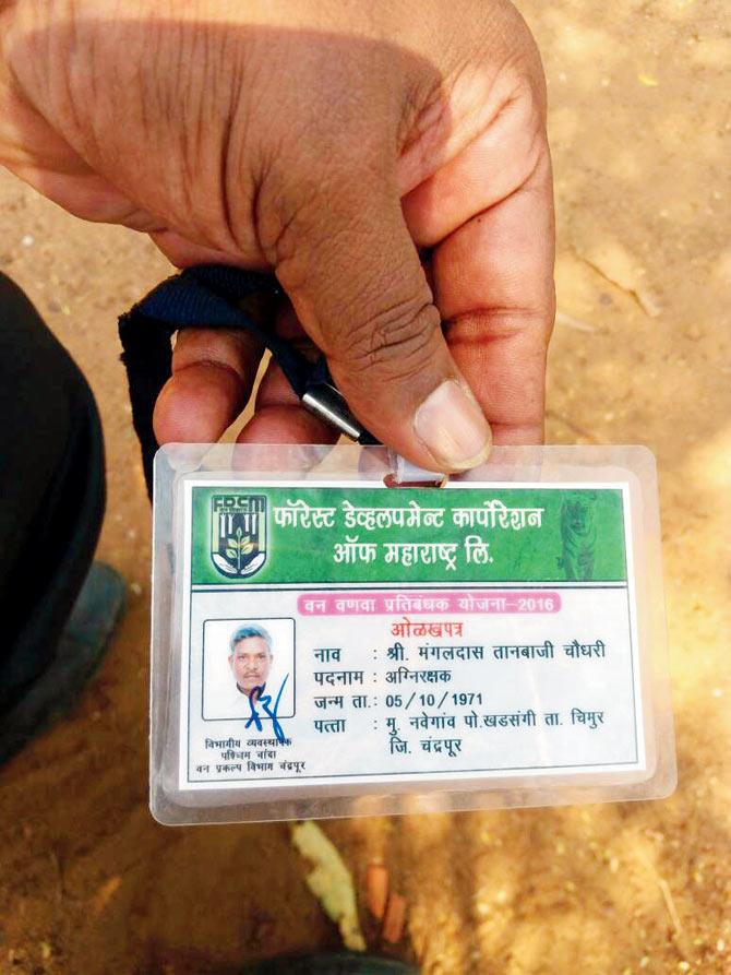 The ID card of the forest watcher who was killed by the tiger on Sunday