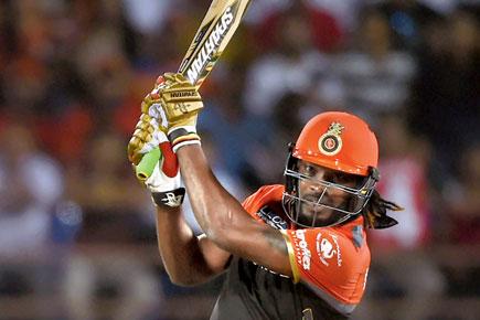 IPL 2017: Why 'wounded tigers' Royal Challengers Bangalore have nothing to lose