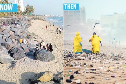 Mumbai: 5 million kg of trash later, Versova gets beach back