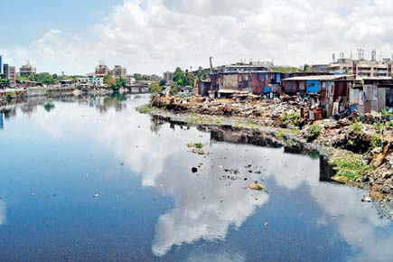 Mithi river banks to transform into gardens in six months
